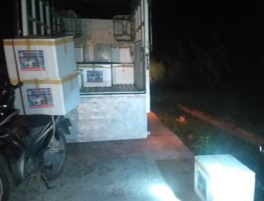 TÔM CÀNG XANH GIỐNG TOÀN ĐỰC CHỌN LỌC HÌNH THỂ