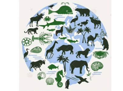 Đánh giá đa dạng sinh học và bảo tồn các loài quí hiếm