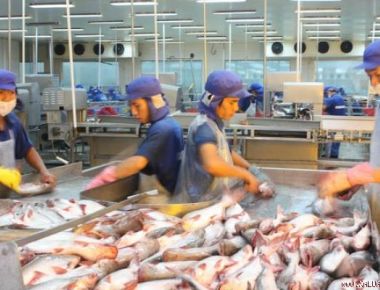 Cơ hội tuyệt vời cho thủy sản, da giày