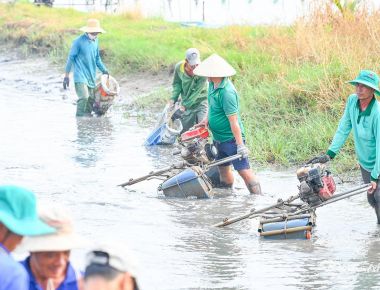 Nông dân An Giang trúng đậm vụ tôm càng xanh