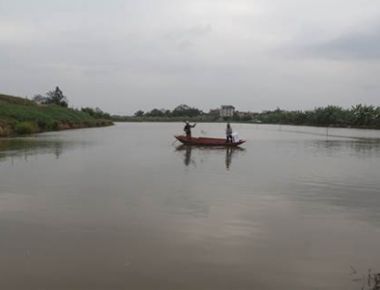 Tư vấn và hổ trợ kỹ thuật nuôi trồng thủy sản