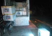 TÔM CÀNG XANH GIỐNG TOÀN ĐỰC CHỌN LỌC HÌNH THỂ